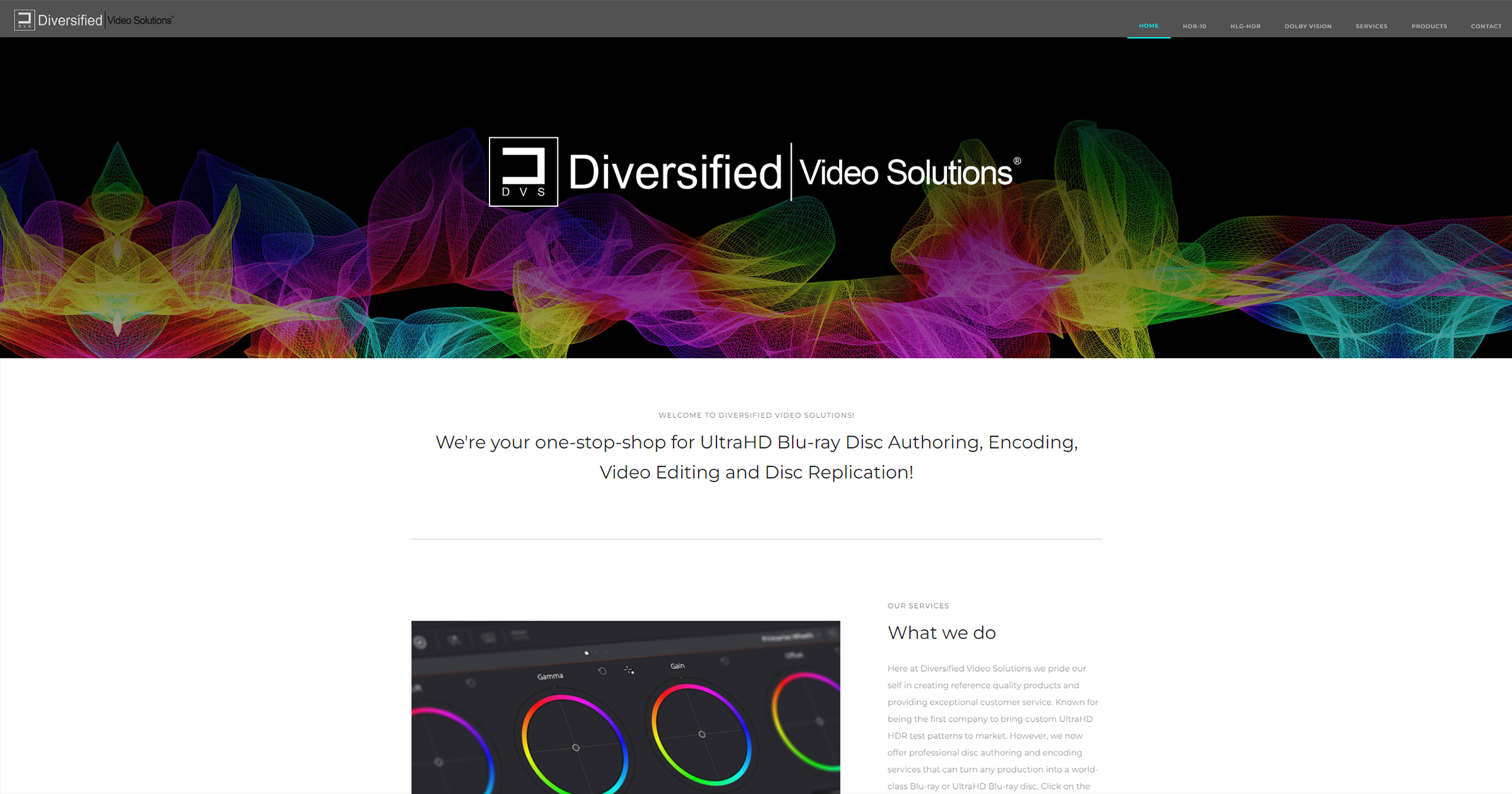 www.diversifiedvideosolutions.com